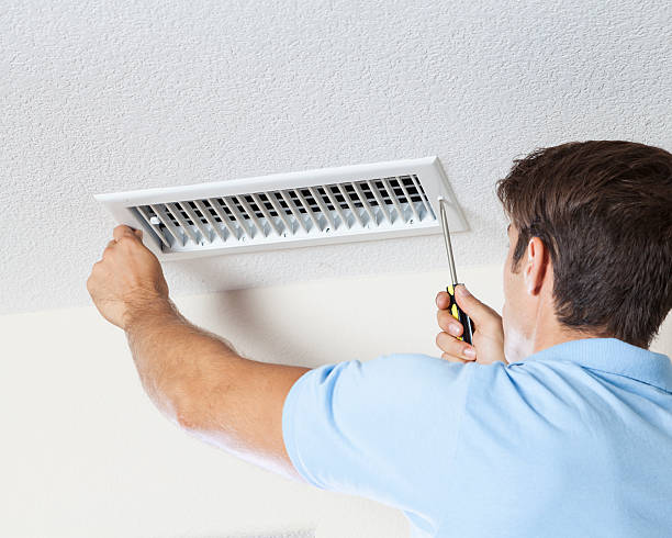 Reliable Franklin, MI Mold Removal Solutions