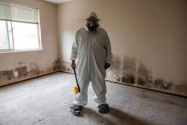  Franklin, MI Mold Removal Pros