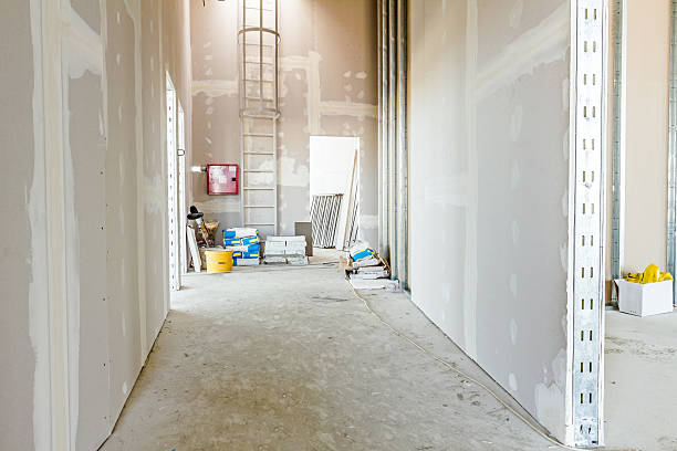 Best Mold Documentation for Insurance Claims  in Franklin, MI