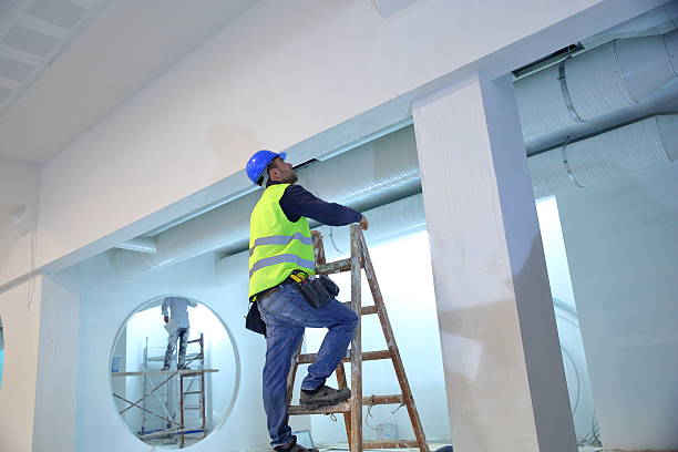 Best Forensic Mold Investigation  in Franklin, MI